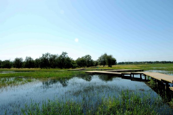 孟津縣濕地局濕地保護區水渠及道路項目